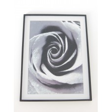 B&W Rose Print Black Frame