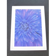 Purple Dahlia Print White Frame