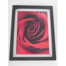 Red Rose Print Thick Black Frame