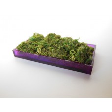 Purple Rectangle Lucite Tray with Moss