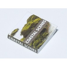 Coastal Scenes Book