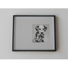 Black Framed Dalmatian Dog Print