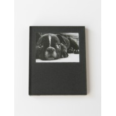 Frameless Puppy Print