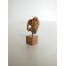 Shell Piece on Wood Base