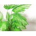 Fern Tree in White Square Planter