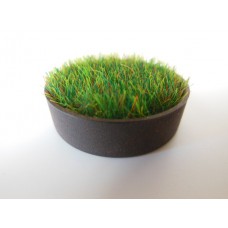 Short Round Rusted Tray with Wheat Grass