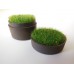 Short Round Rusted Tray with Wheat Grass