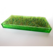Green Rectangle Lucite Tray with Wheat Grass