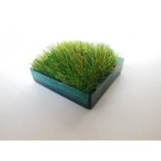 Teal Square Lucite Tray with Wheat Grass