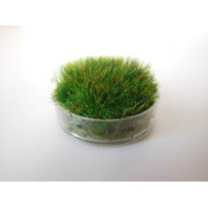 Clear Round Lucite Tray with Wheat Grass