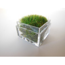 Clear Tall Square Lucite Tray with Wheat Grass