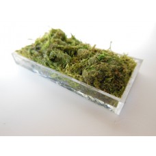 Clear Rectangle Lucite Tray with Moss