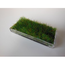 Clear Rectangle Lucite Tray with Wheat Grass