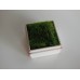 Tall Square Vintage White Tray with Wheat Grass