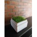 Tall Square Vintage White Tray with Wheat Grass