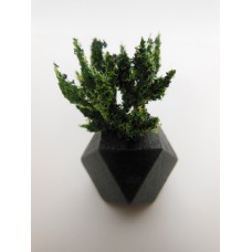 Black Hex Vase