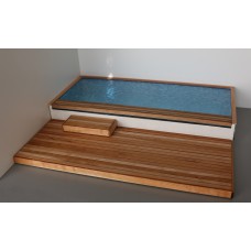 Pool with Deck