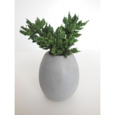 Round Tall Pot with Plant