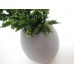 Round Tall Pot with Plant