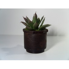 Large Rust Pot with Verde Plant