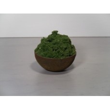 Small Rust Pot with Plant