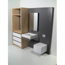 Single Vanity Bath Unit with Toilet and Wardrobe Unit