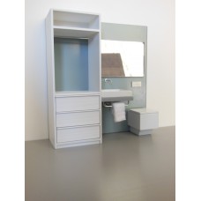 Single Vanity Bath Unit with Toilet and Wardrobe Unit