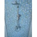 Shower Stall Unit with Blue Tile