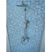 Shower Stall Unit with Blue Tile