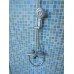 Shower Stall Unit with Blue Tile