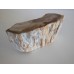 Petrified Wood Side Table